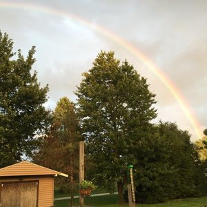 Meet your Posher, Tracy